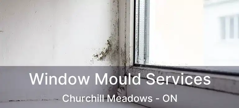  Window Mould Services Churchill Meadows - ON