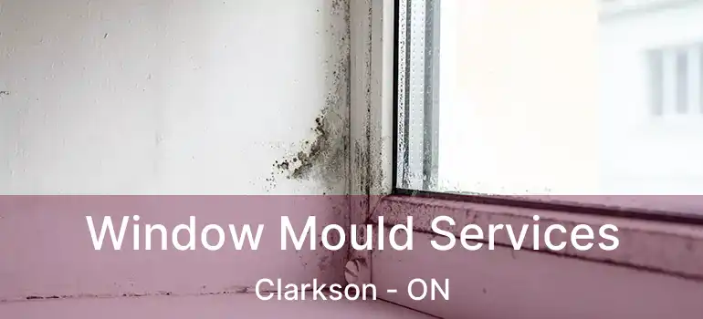  Window Mould Services Clarkson - ON