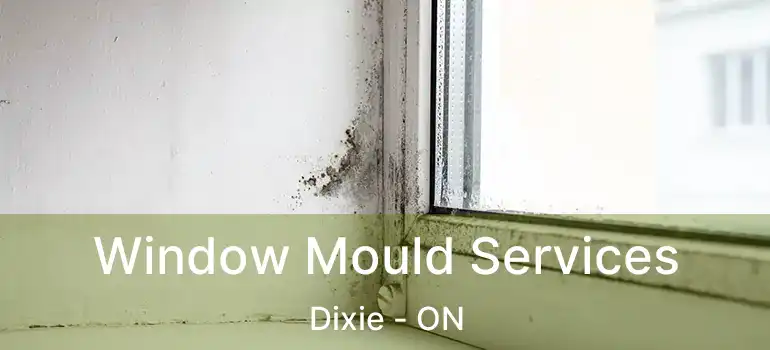  Window Mould Services Dixie - ON