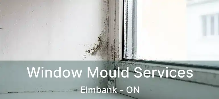 Window Mould Services Elmbank - ON
