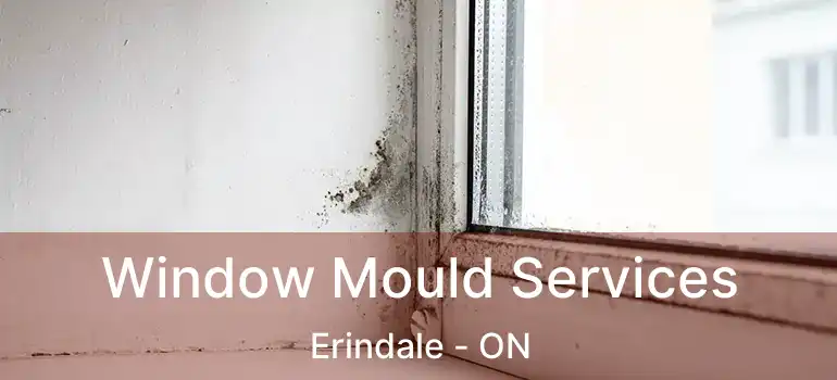  Window Mould Services Erindale - ON
