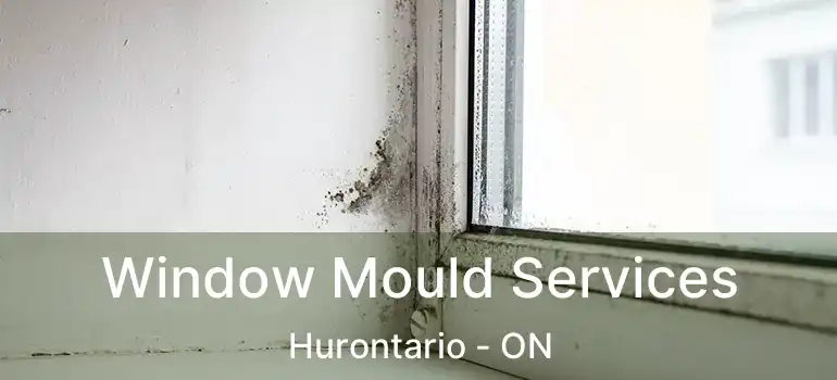  Window Mould Services Hurontario - ON