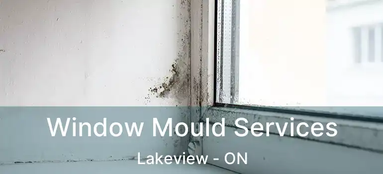  Window Mould Services Lakeview - ON