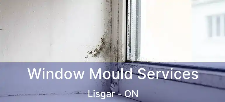  Window Mould Services Lisgar - ON