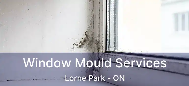 Window Mould Services Lorne Park - ON