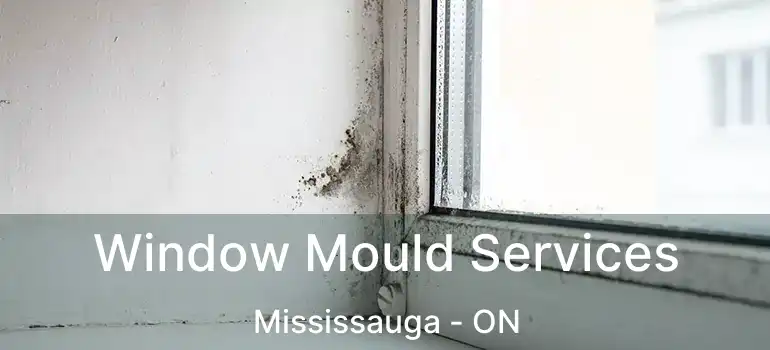  Window Mould Services Mississauga - ON