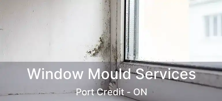  Window Mould Services Port Credit - ON