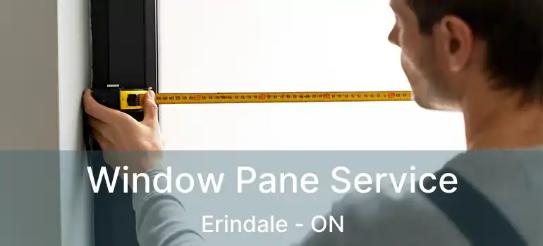 Window Pane Service Erindale - ON