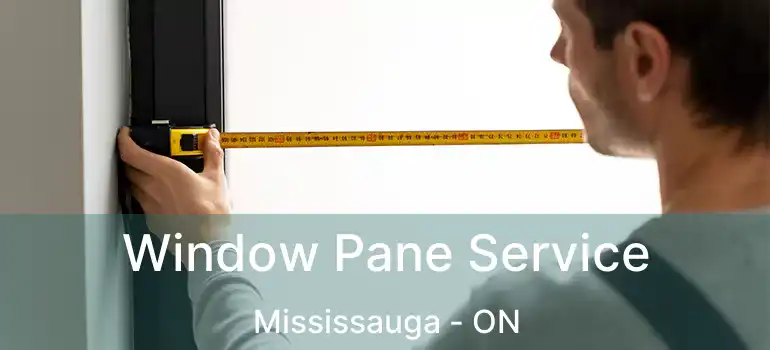  Window Pane Service Mississauga - ON