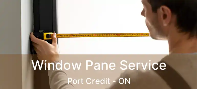  Window Pane Service Port Credit - ON