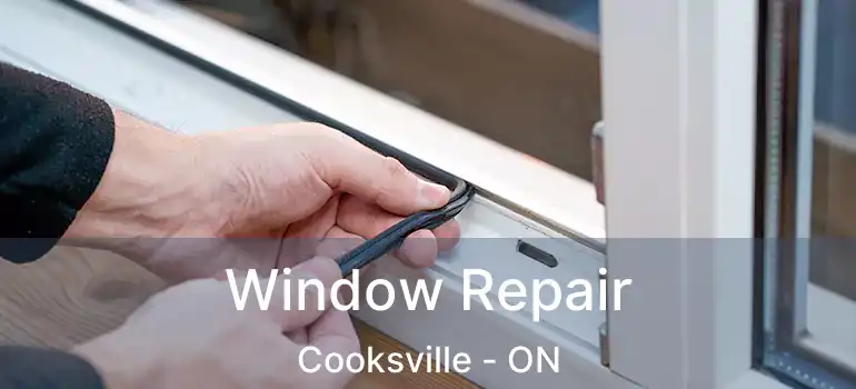  Window Repair Cooksville - ON