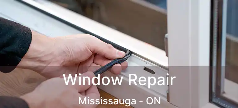  Window Repair Mississauga - ON
