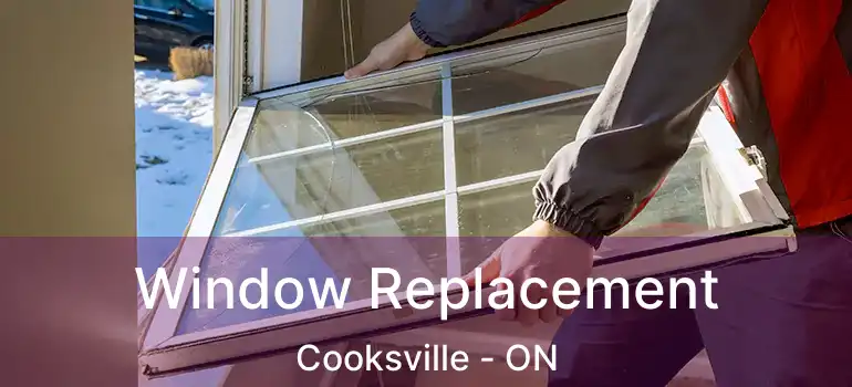  Window Replacement Cooksville - ON