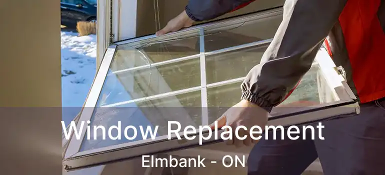  Window Replacement Elmbank - ON