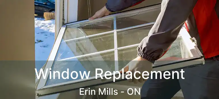  Window Replacement Erin Mills - ON