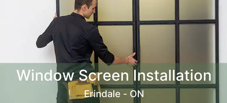  Window Screen Installation Erindale - ON