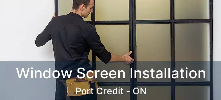  Window Screen Installation Port Credit - ON