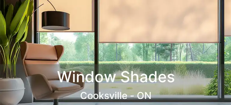  Window Shades Cooksville - ON
