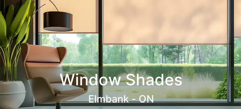  Window Shades Elmbank - ON