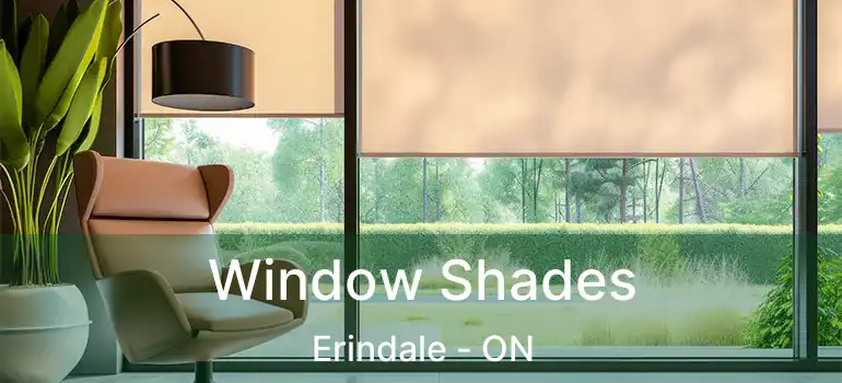 Window Shades Erindale - ON