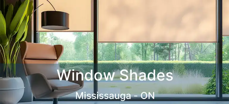  Window Shades Mississauga - ON