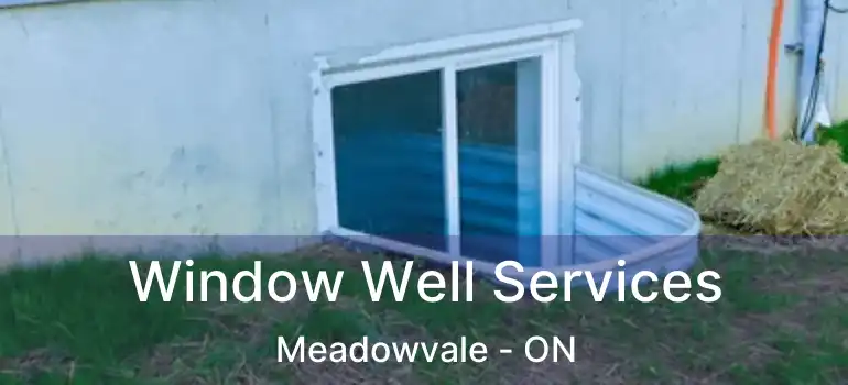  Window Well Services Meadowvale - ON
