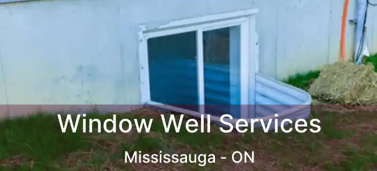  Window Well Services Mississauga - ON