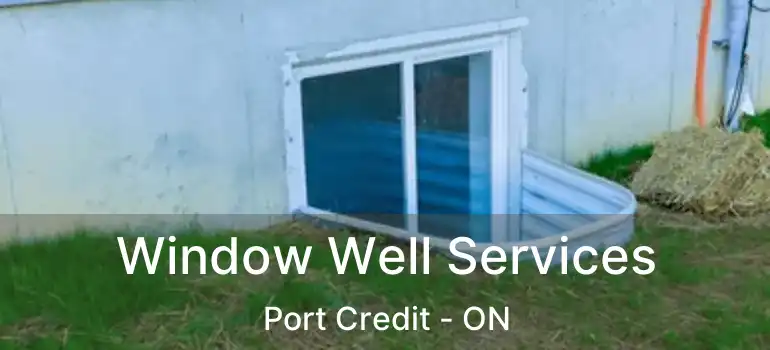  Window Well Services Port Credit - ON