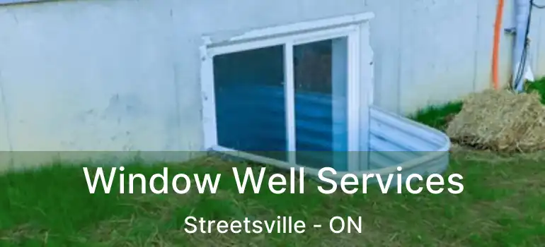 Window Well Services Streetsville - ON