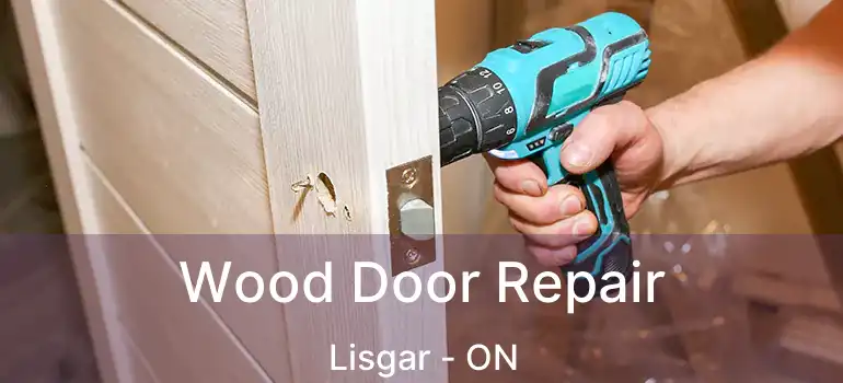  Wood Door Repair Lisgar - ON