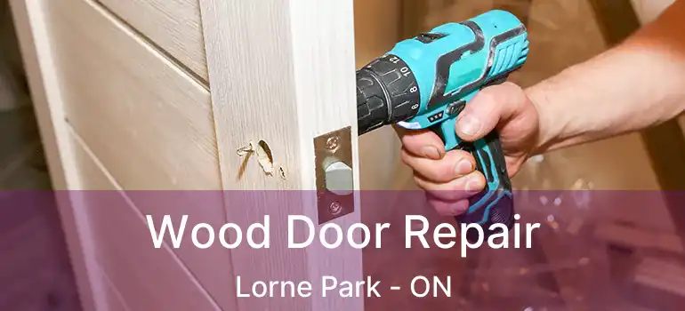  Wood Door Repair Lorne Park - ON